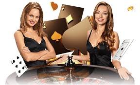 7jj bet 7jj bet